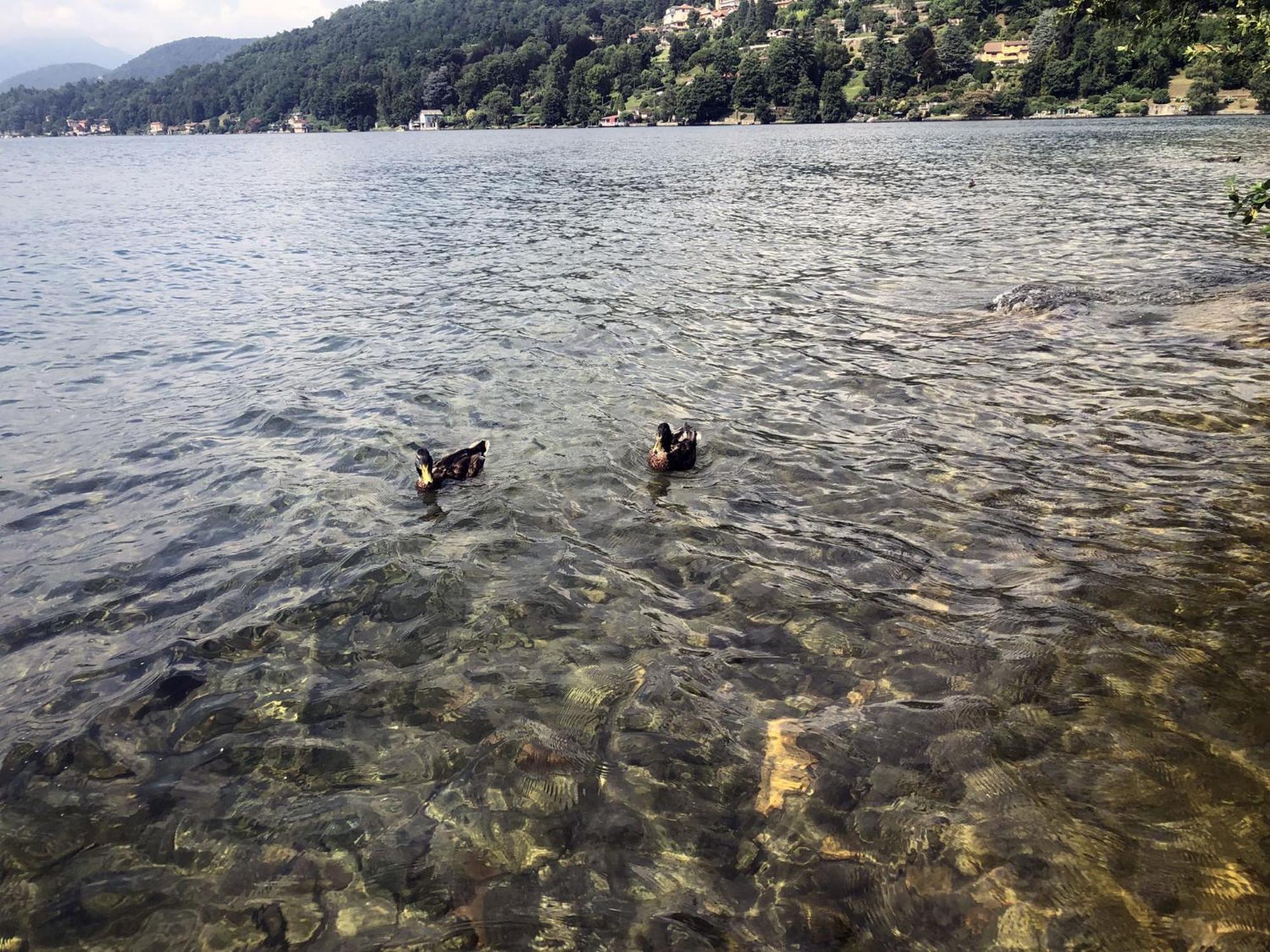 Appartamento Vacanze Al Lago Orta San Giulio Exteriér fotografie